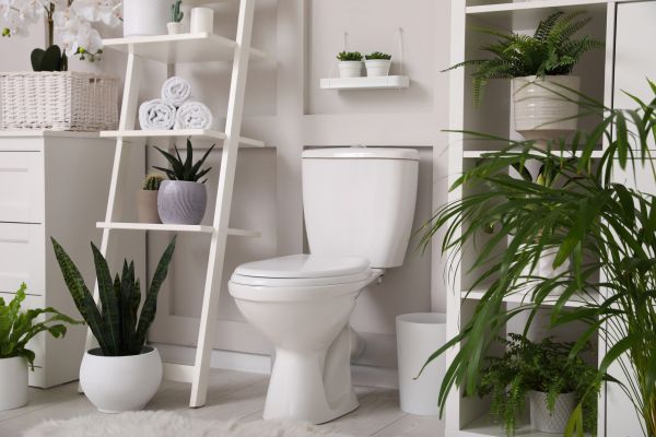 Cost of Toilet Repair in Keller