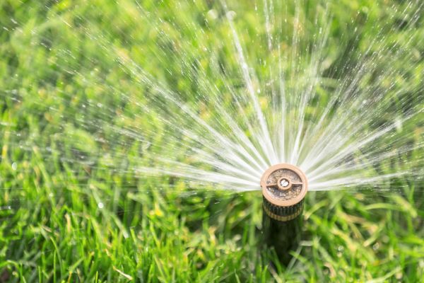 Cost of Spigot Installation in Keller